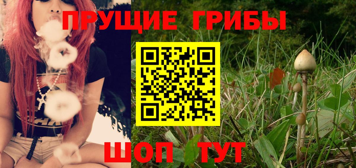 Гусиноозёрск  Галлюциногенные грибы Psilocybe  Псилоцибиновые грибы GOLDEN TEACHER  Вход с VPN 