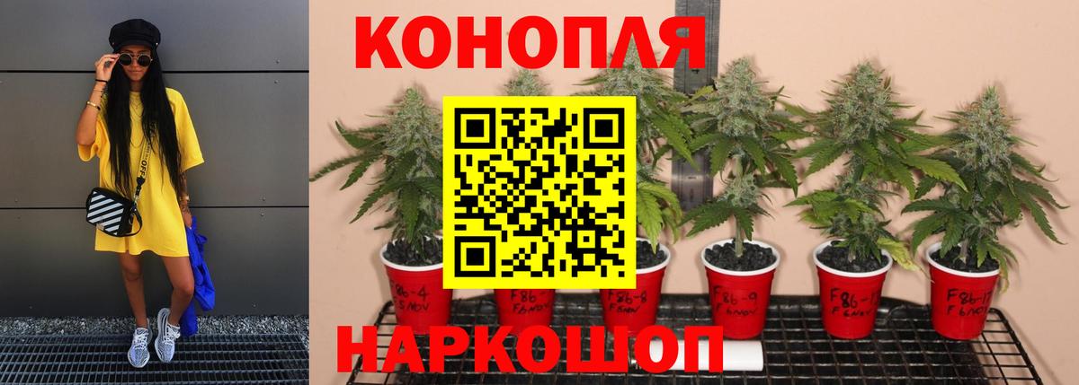 МАРИХУАНА планчик  МАРИХУАНА индика  Вход с VPN  Гусиноозёрск 